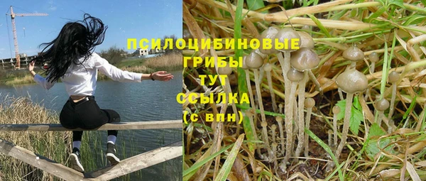 индика Балабаново