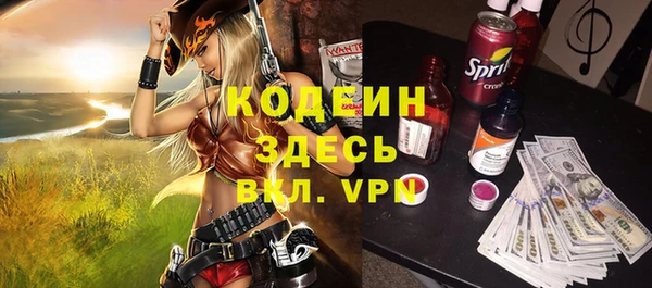 индика Балабаново