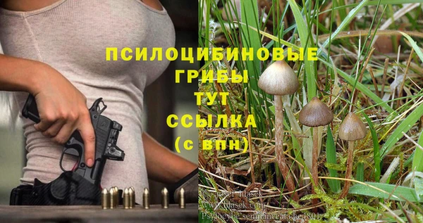 apvp Балахна