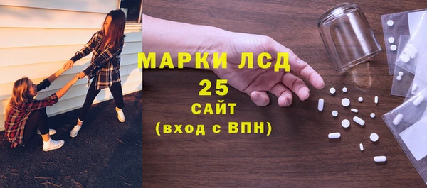 индика Балабаново