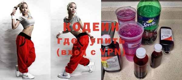 индика Балабаново